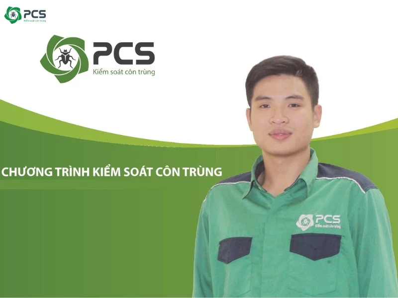 Các biện pháp diệt muỗi 